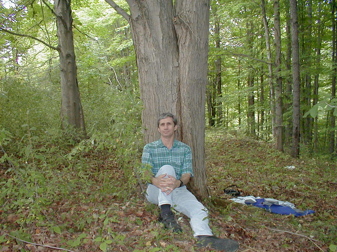 Picture of Dan sitting in the fall leaves, with the title: 